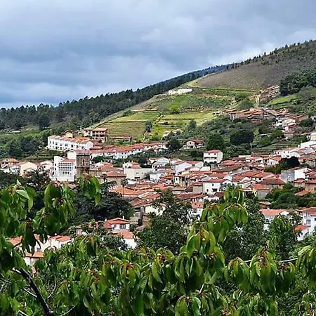 Zocailla
