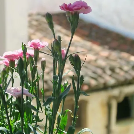 Apartamento Zocailla Gata