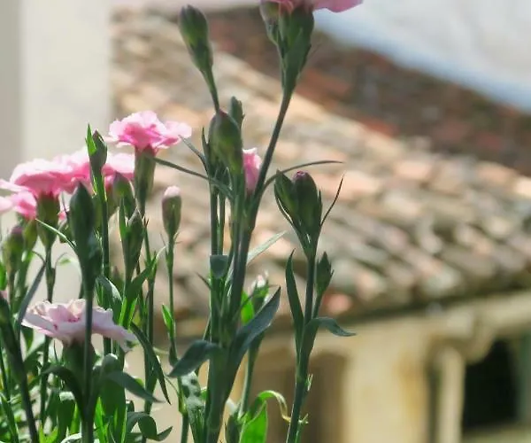 公寓 Zocailla 加塔